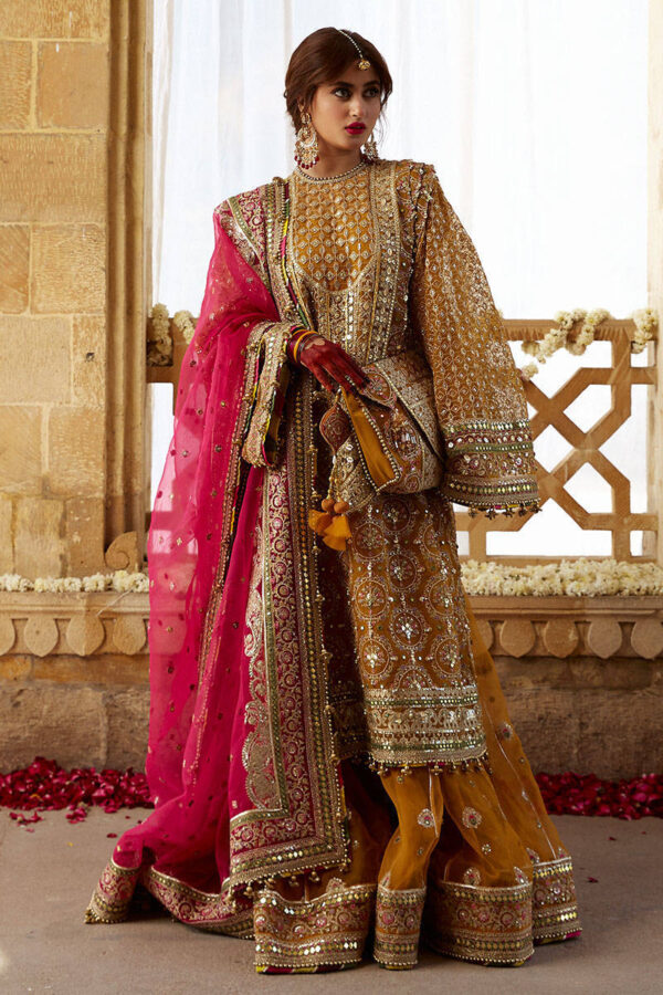 Organza Gharara Kameez Dupatta – The Perfect Pakistani Mehndi Dress - Image 5
