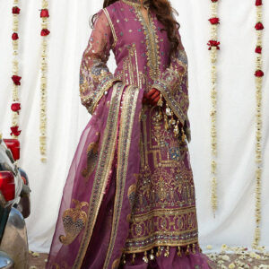 Pakistani Wedding Gharara Dress in Premium Organza | Desir Boutique