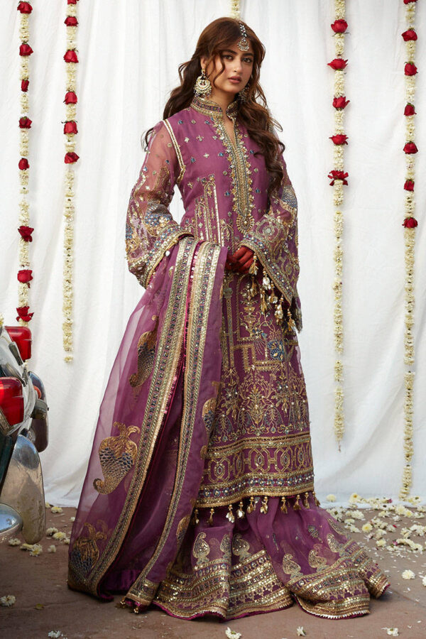 Pakistani Wedding Gharara Dress in Premium Organza | Desir Boutique