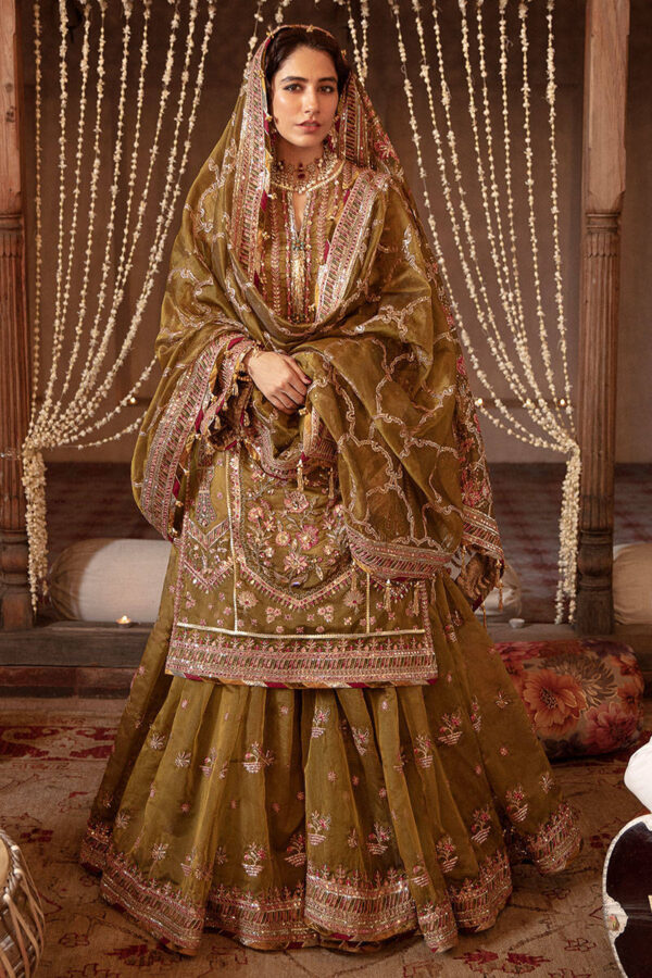 Pakistani Wedding Gharara Kameez with Dupatta – A Timeless Masterpiece - Image 3