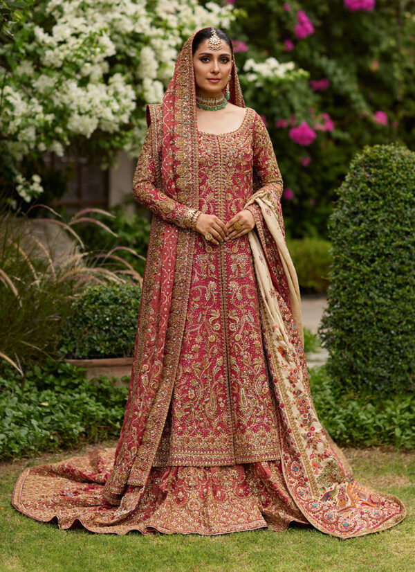 Dil Ras Bridal Ensemble - Image 5